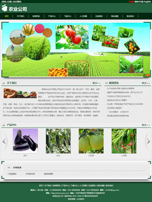 辽阳网站建设