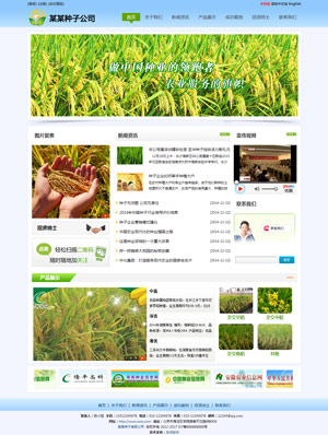 辽阳网站建设