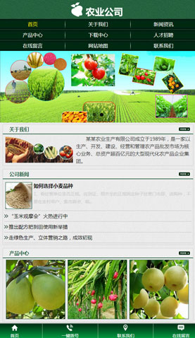 辽阳网站建设