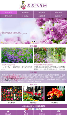 辽阳电脑网站模板