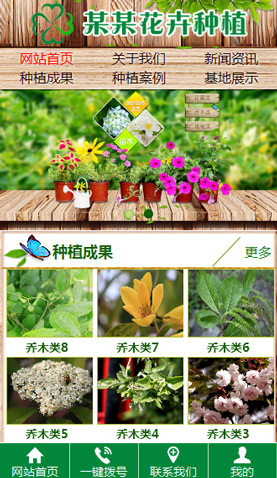 辽阳网站建设