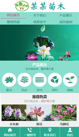 辽阳网站建设